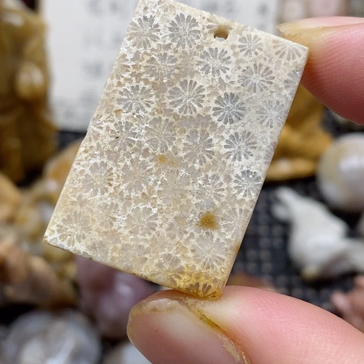 颈饰未镶嵌硅化珊瑚（珊瑚玉）有瑕 小