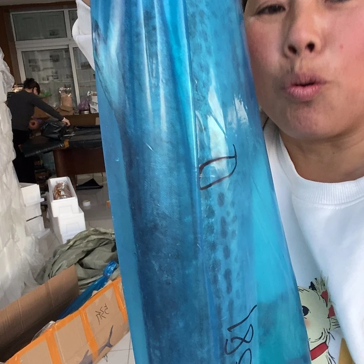 刘***平中国大陆渤海湾野生燕鲅鱼D号
