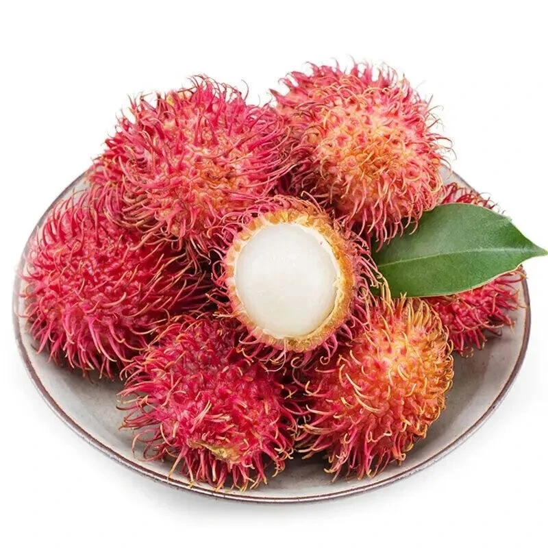 新鲜采摘红毛丹500g产地直发新鲜水果 顺风包邮