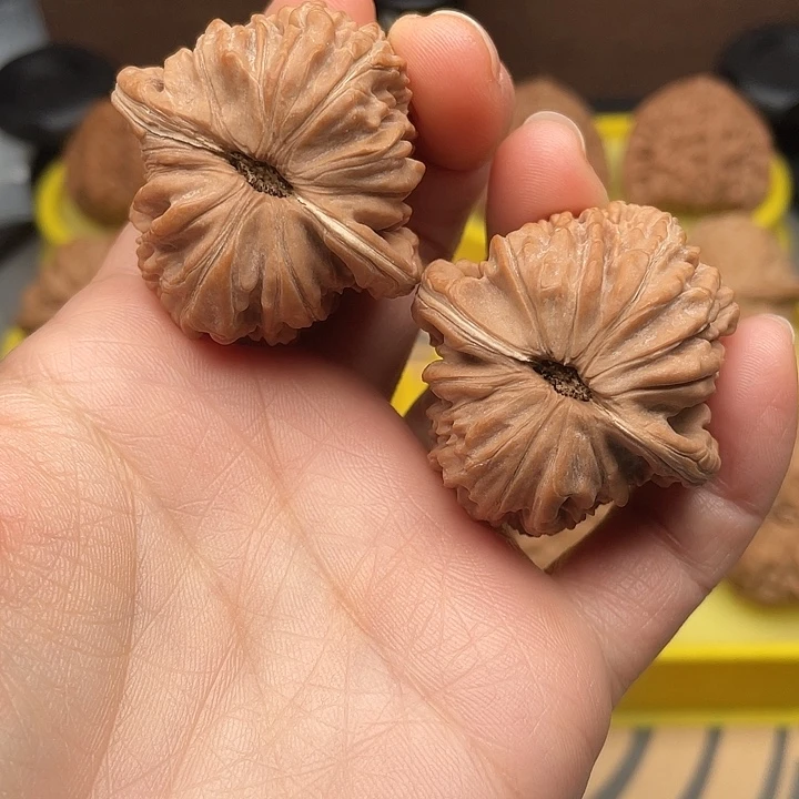 四座楼39全品。