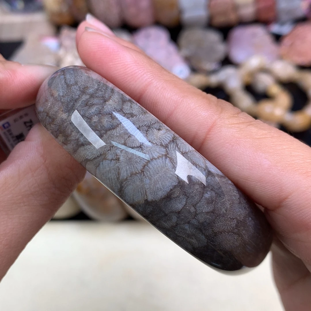 【闪购商品】颈饰未镶嵌硅化珊瑚（珊瑚玉）精美黑虫56.4圈（42号）