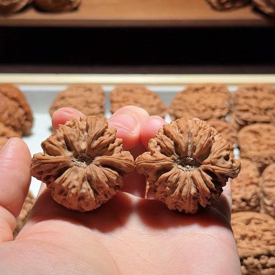 把件文玩核桃南疆石恶魔之眼