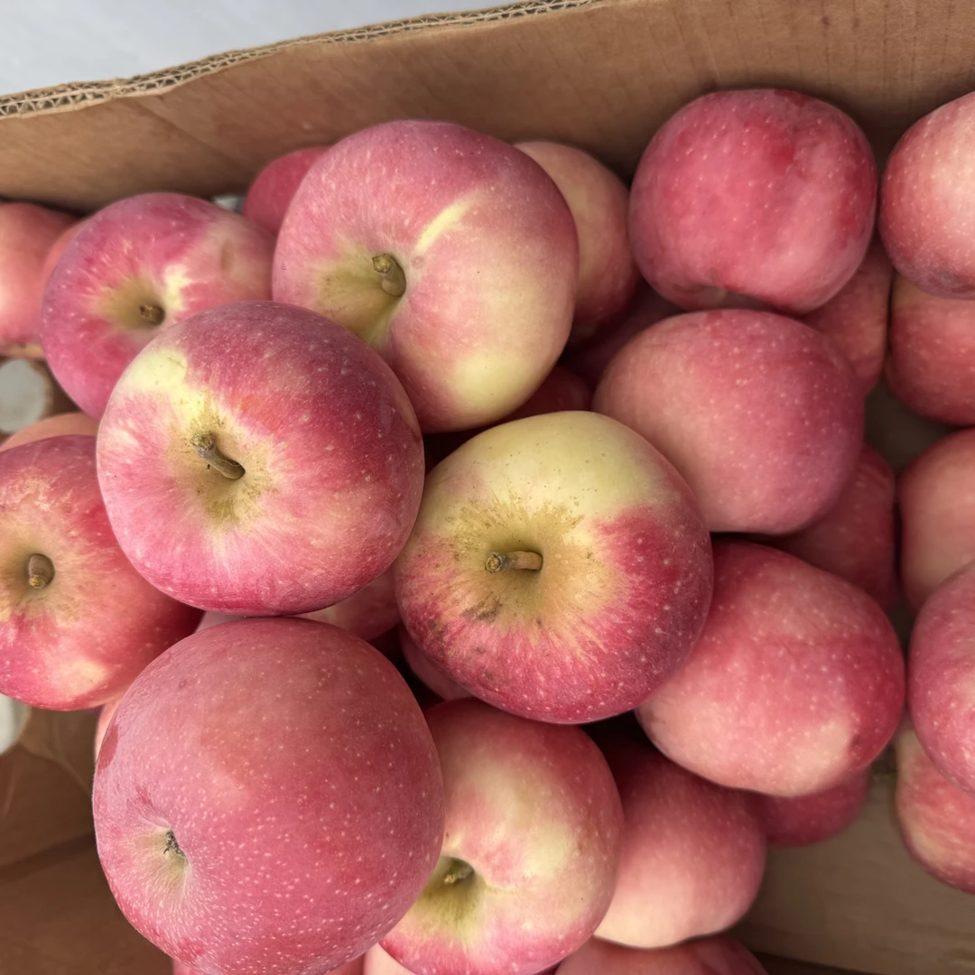 望乡红苹果香甜好吃,口感独特,顺丰包邮