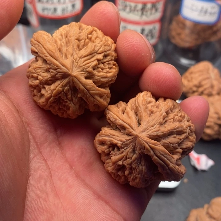 文玩核桃把件粗筋43