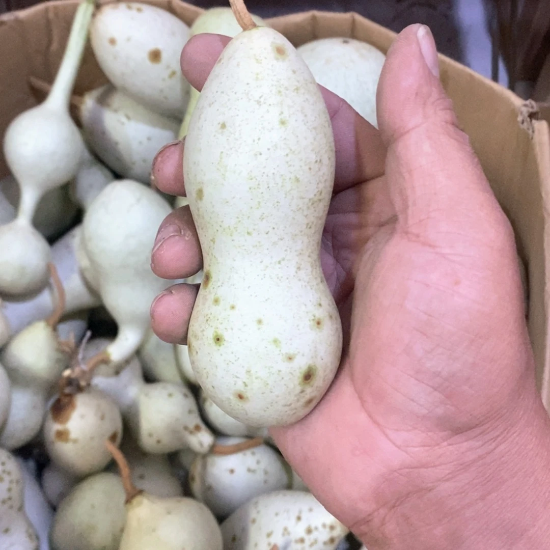 涛**8文玩葫芦青皮葫芦