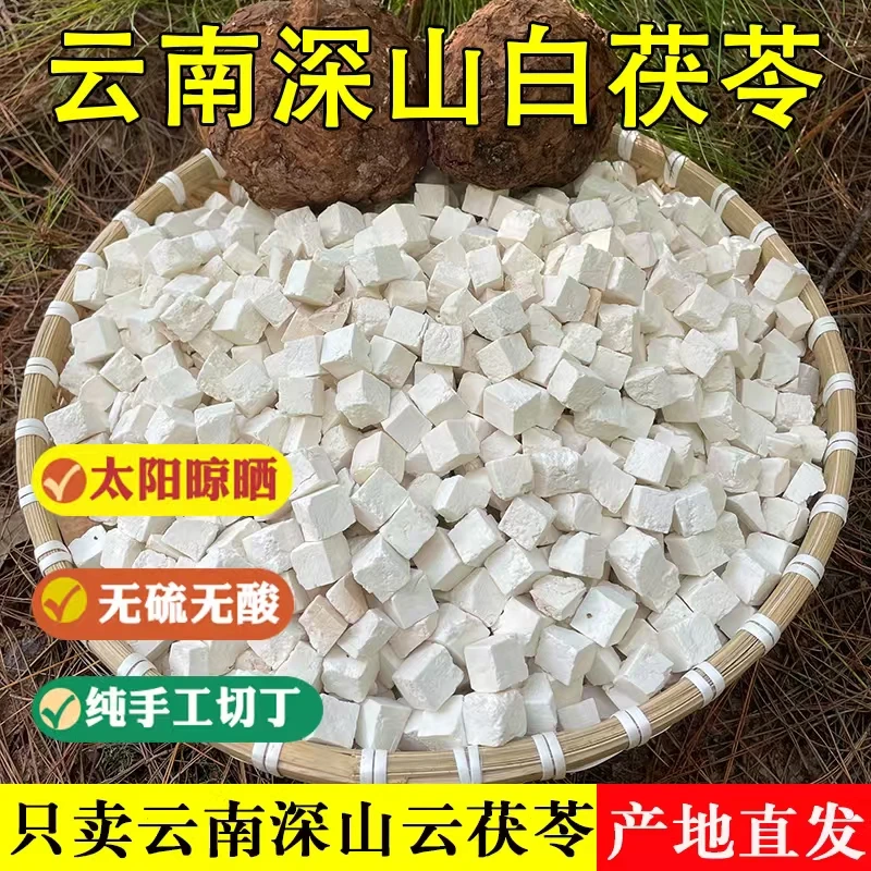 云南楚雄老树野茯苓 生切生晒 保证不熏硫