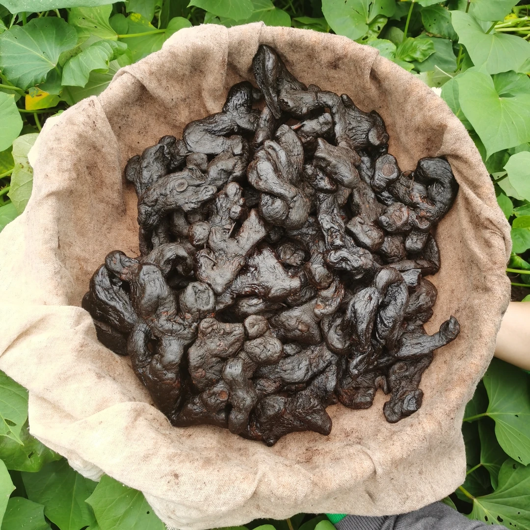 黄精，九蒸九晒，古法