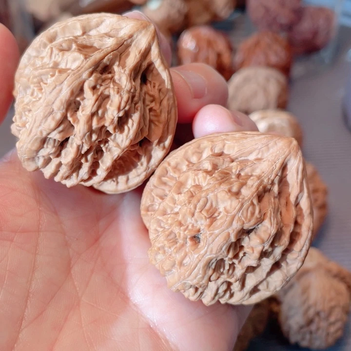 饱****?40尺寸火焰马蹄骨质好