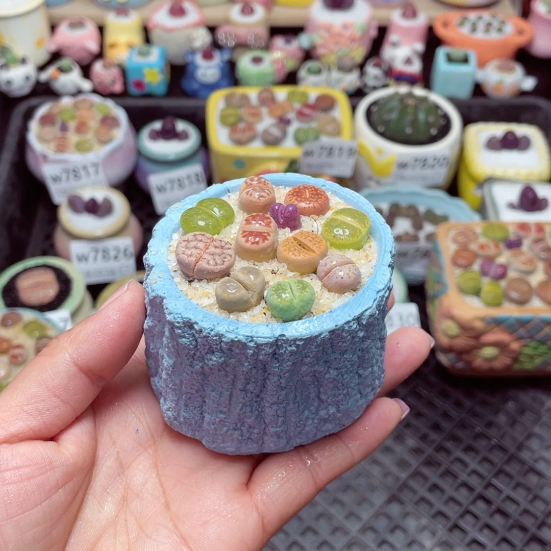 w7833 -零下地区拍保温箱-15支持寄养