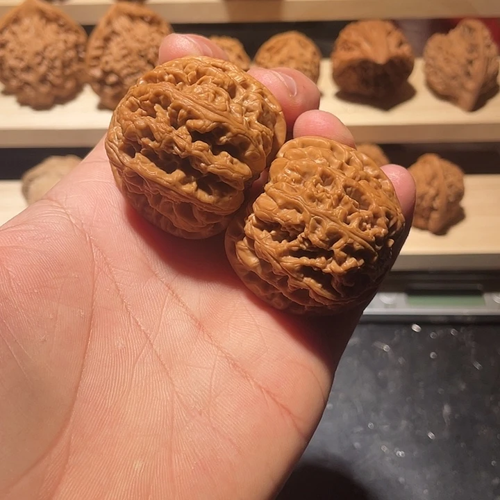 核桃手串/手链大粗筋