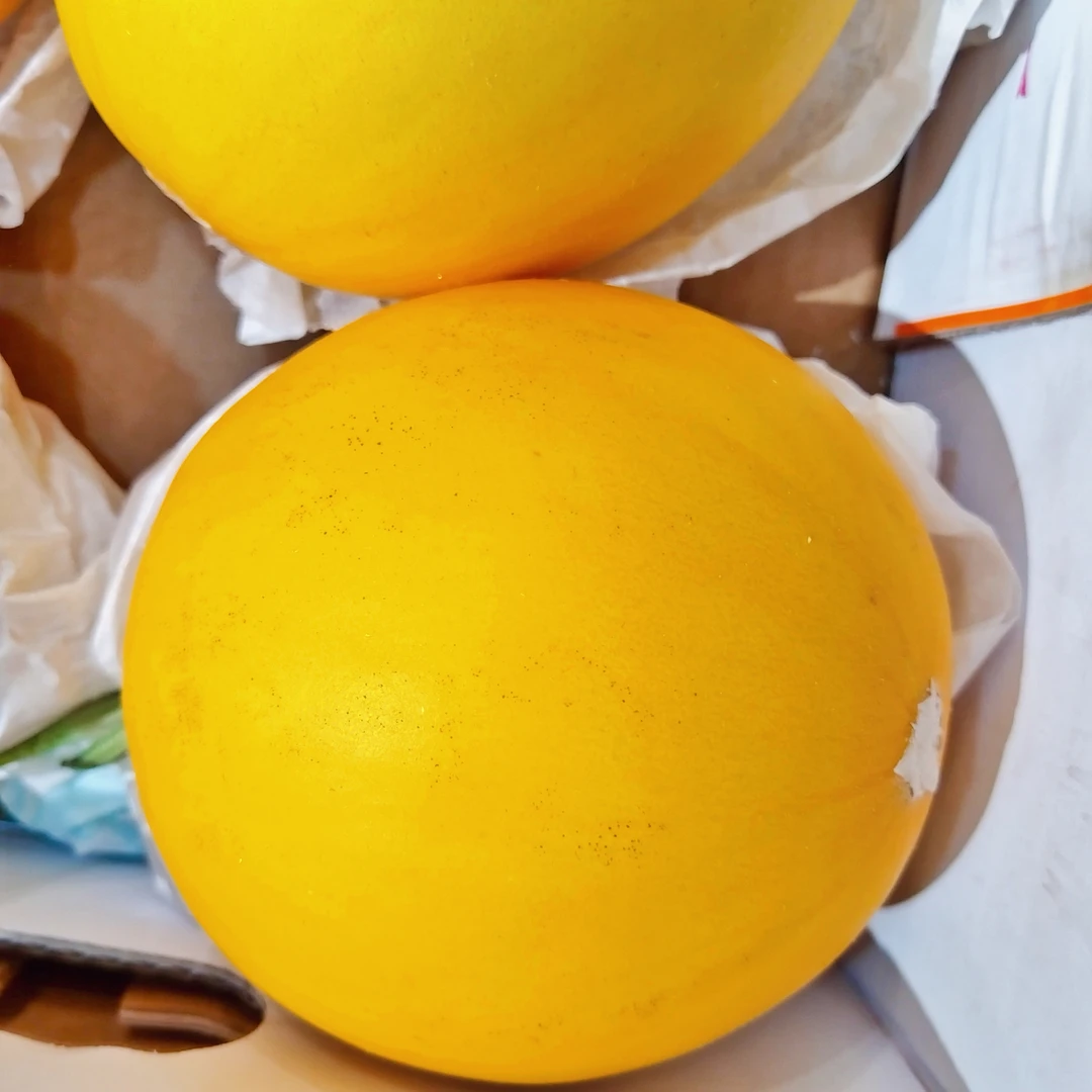 河南久红哈密瓜1个（大）
