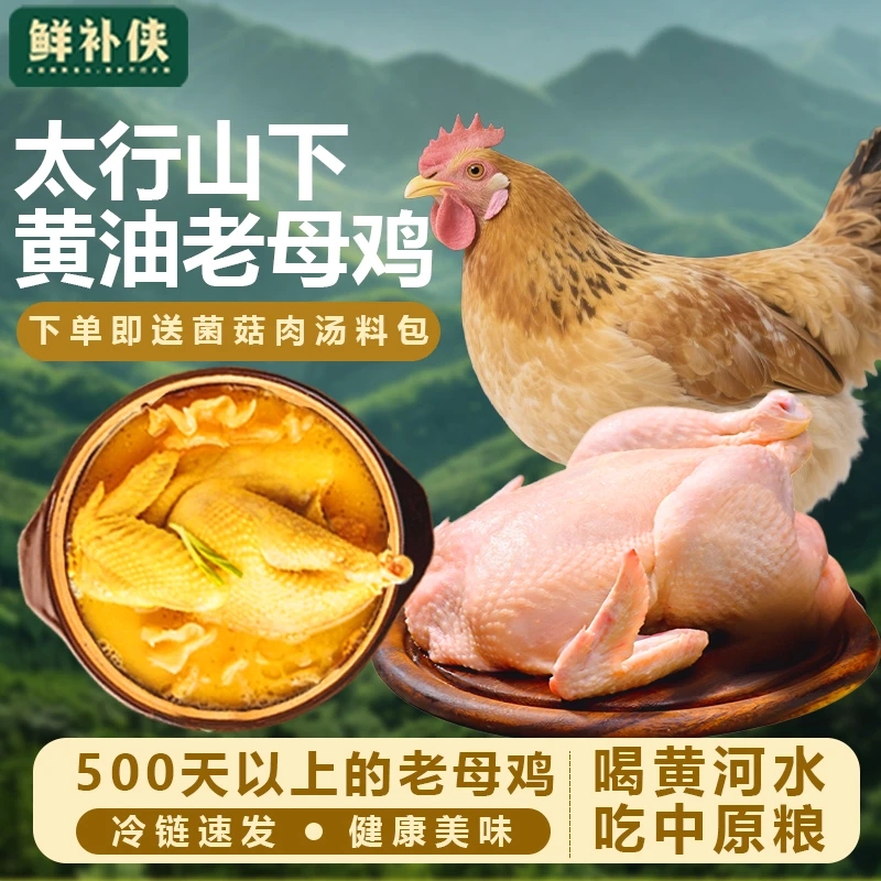 鲜补侠老母鸡土鸡农家散养走地鸡草鸡农村柴鸡整只装新鲜现杀正宗