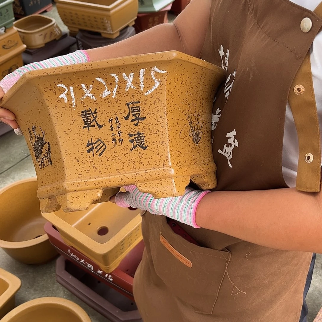 紫砂花盆盆景艺术