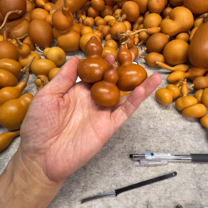 叫***字这个名字的三把紫皮葫芦