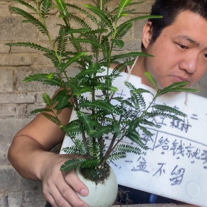 退款拉黑一物一拍135