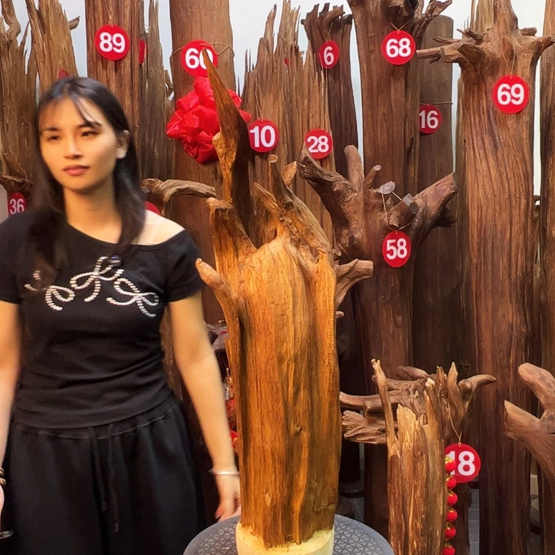 摆件沉香天然沉香原材料高品质