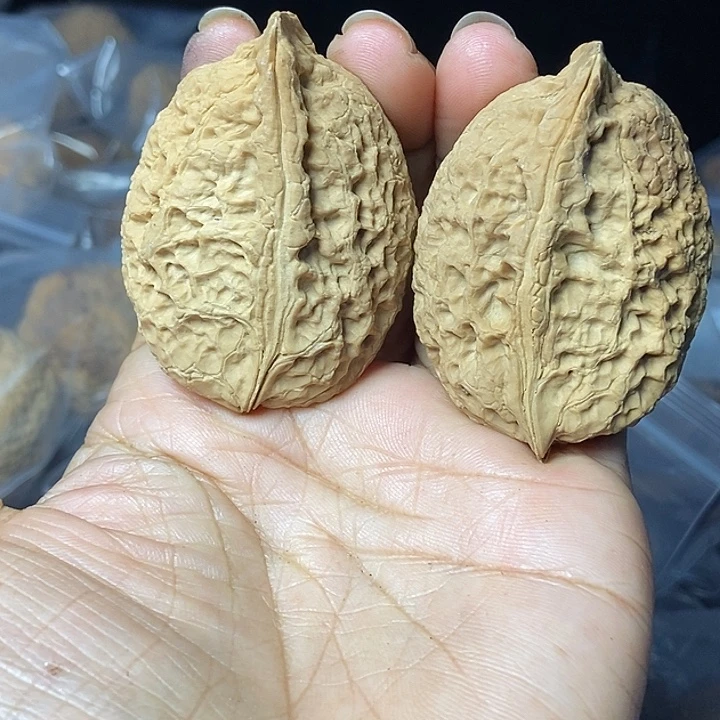 把件文玩核桃云南铁核桃基地81