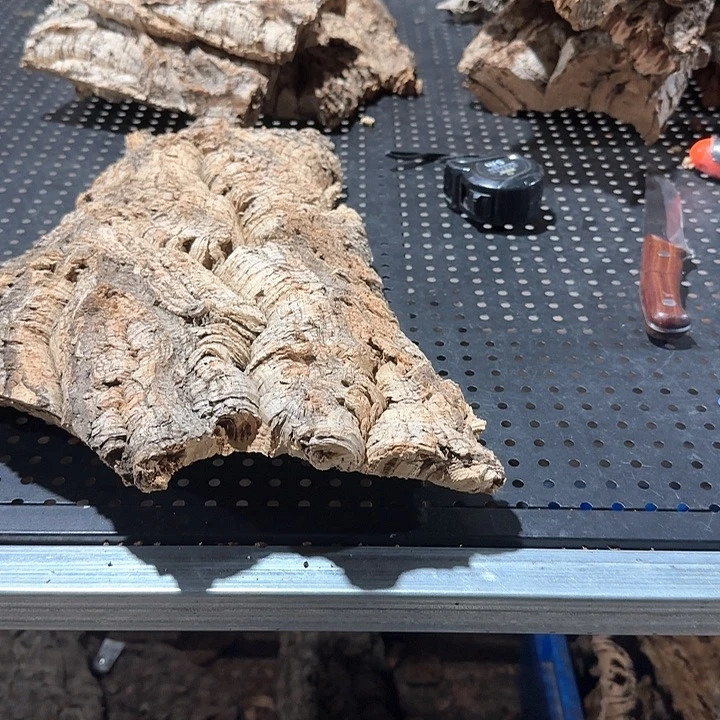 K***i完全开放一物一拍一物一拍