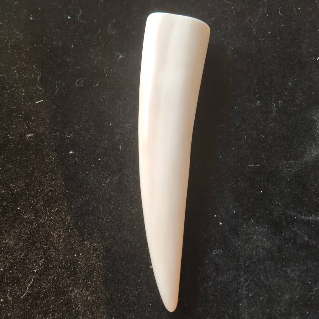 猛犸猛犸虬尖子WW829