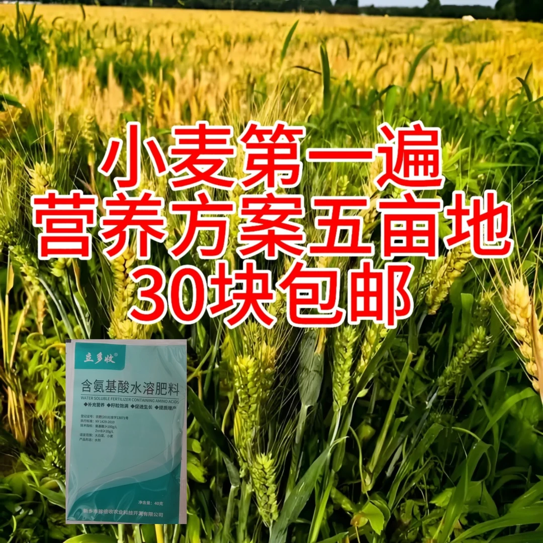 小麦五亩地营养方案包邮