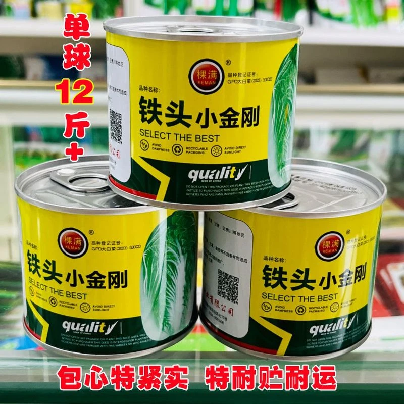 铁头小金刚大白菜种子包心特紧实特耐贮高抗病耐低温山东白菜种子