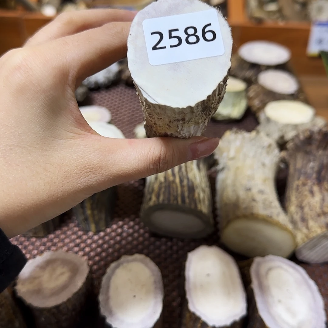 鹿骨手串/手链中段2586