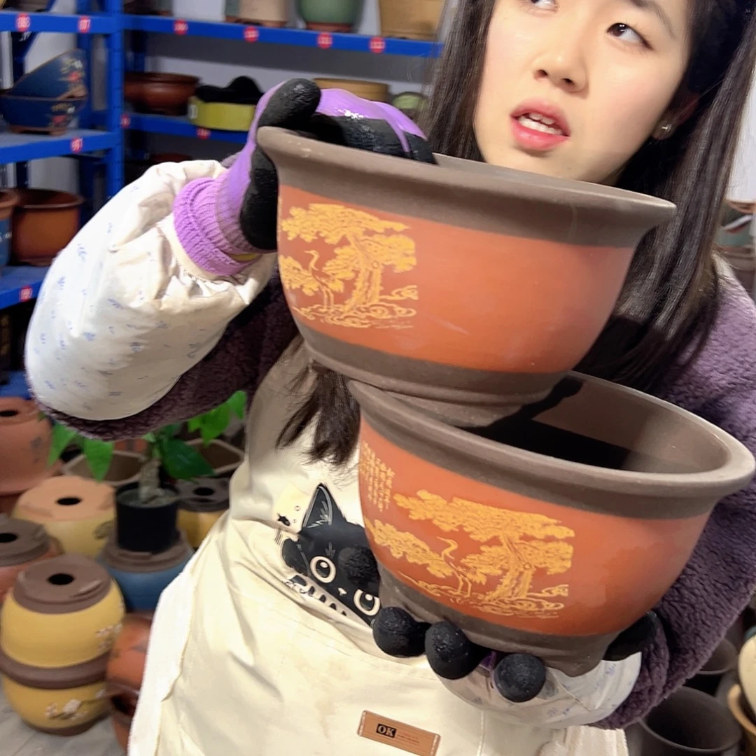 17+17红色松鹤三角金钟花盆花盆