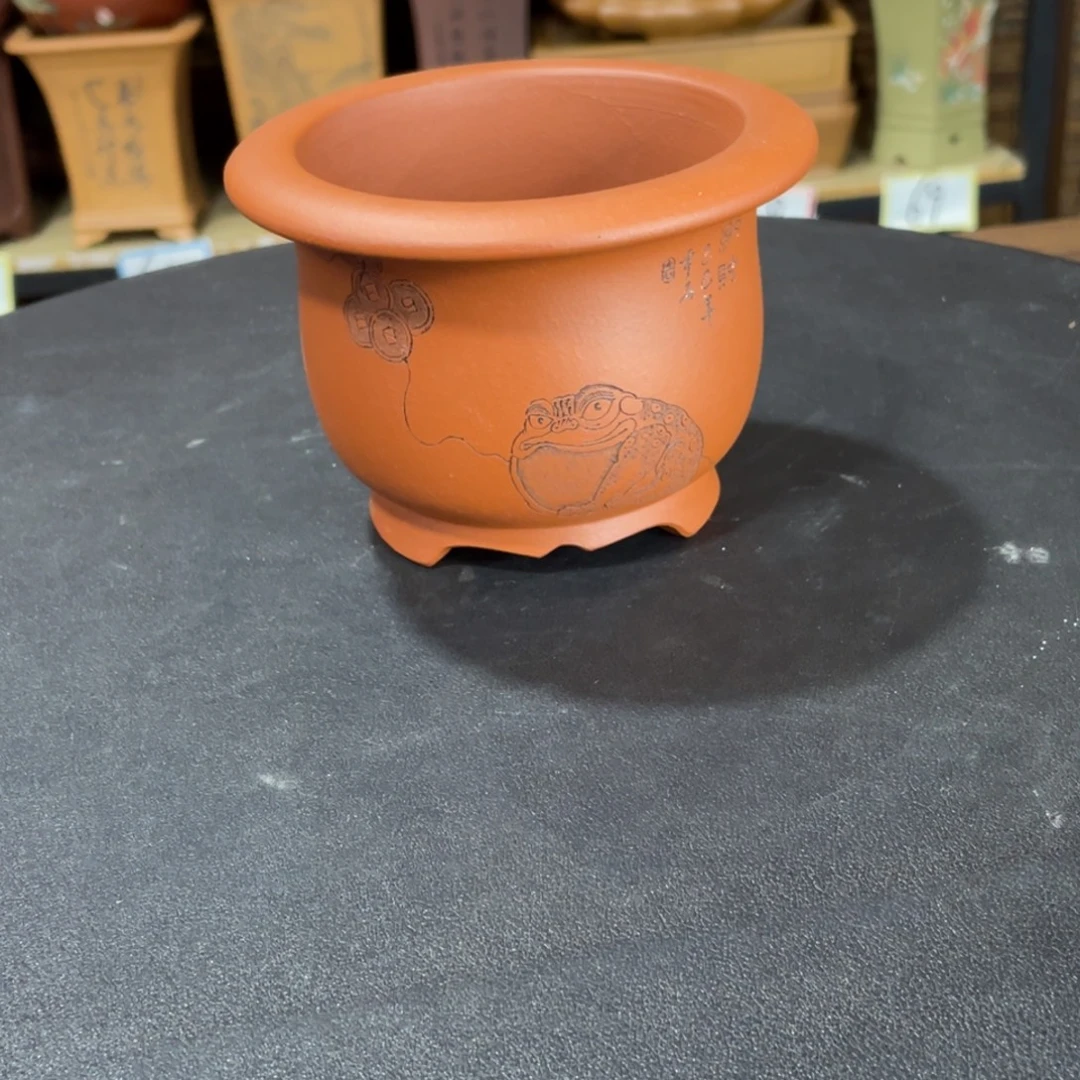 花盆紫砂紫砂杯是