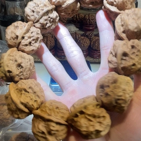 文玩核桃手串聚宝金蟾12粒带彩36