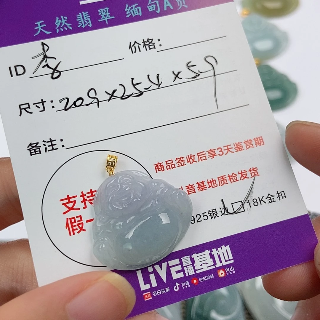 翡翠未镶嵌颈饰李****_翡翠