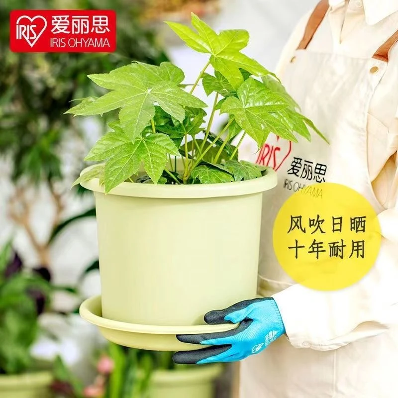 爱丽思Deepot盆栽家用青山树脂加仑盆月季绣球多肉爱丽丝塑料花盆