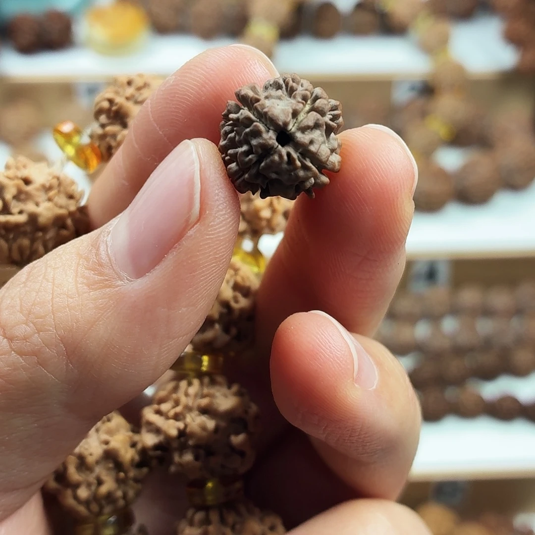 手串金刚菩提稀有精品野籽鱼骨4瓣手持