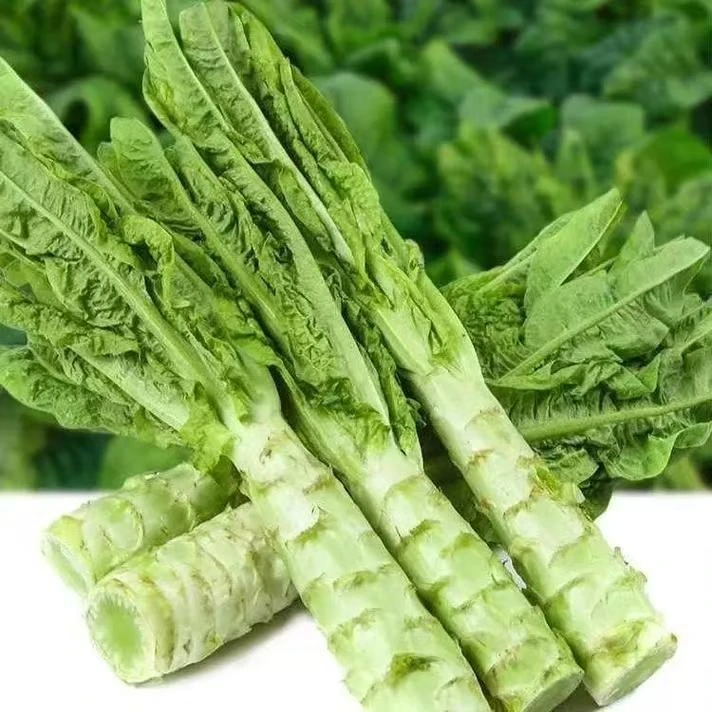 【顺丰包邮】源圆优选香莴笋现摘现发苏北农家菜