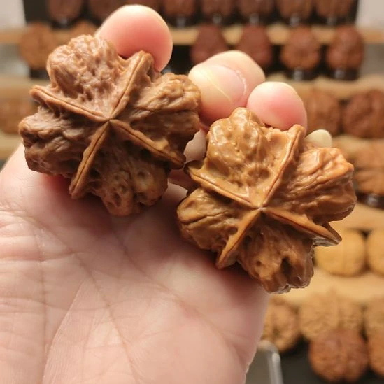 文玩核桃把件金樽四棱精品