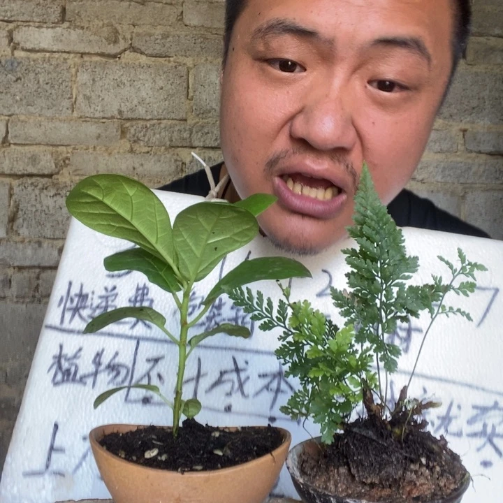 退款拉黑一物一拍45