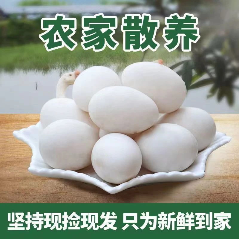 农家鹅蛋新鲜散养鹅蛋一整箱批发孕妇宝宝辅食杂粮喂养鹅