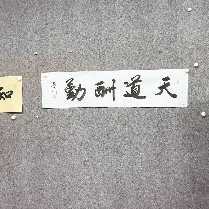 书法天道酬勤作品