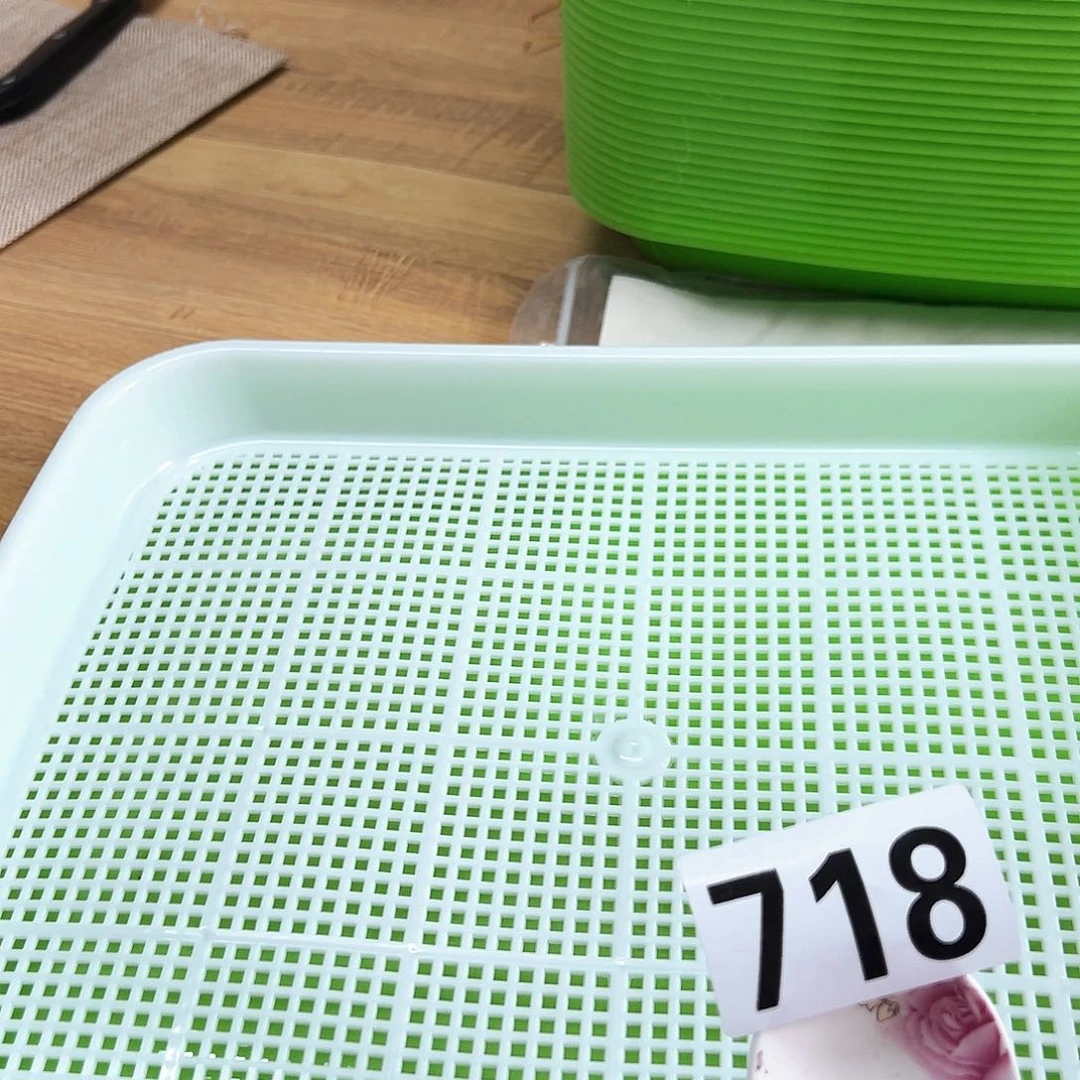 摆件发10套………………——————