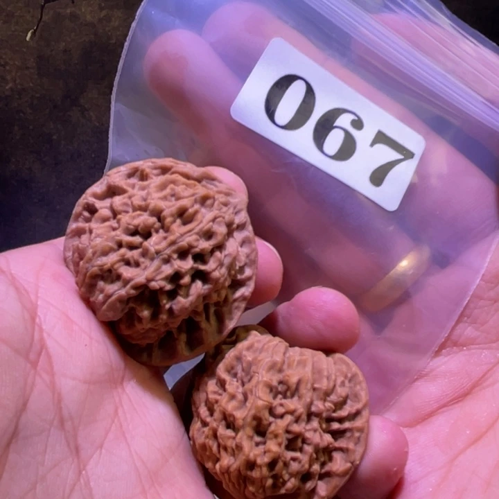 文玩核桃吊坠067盘龙纹