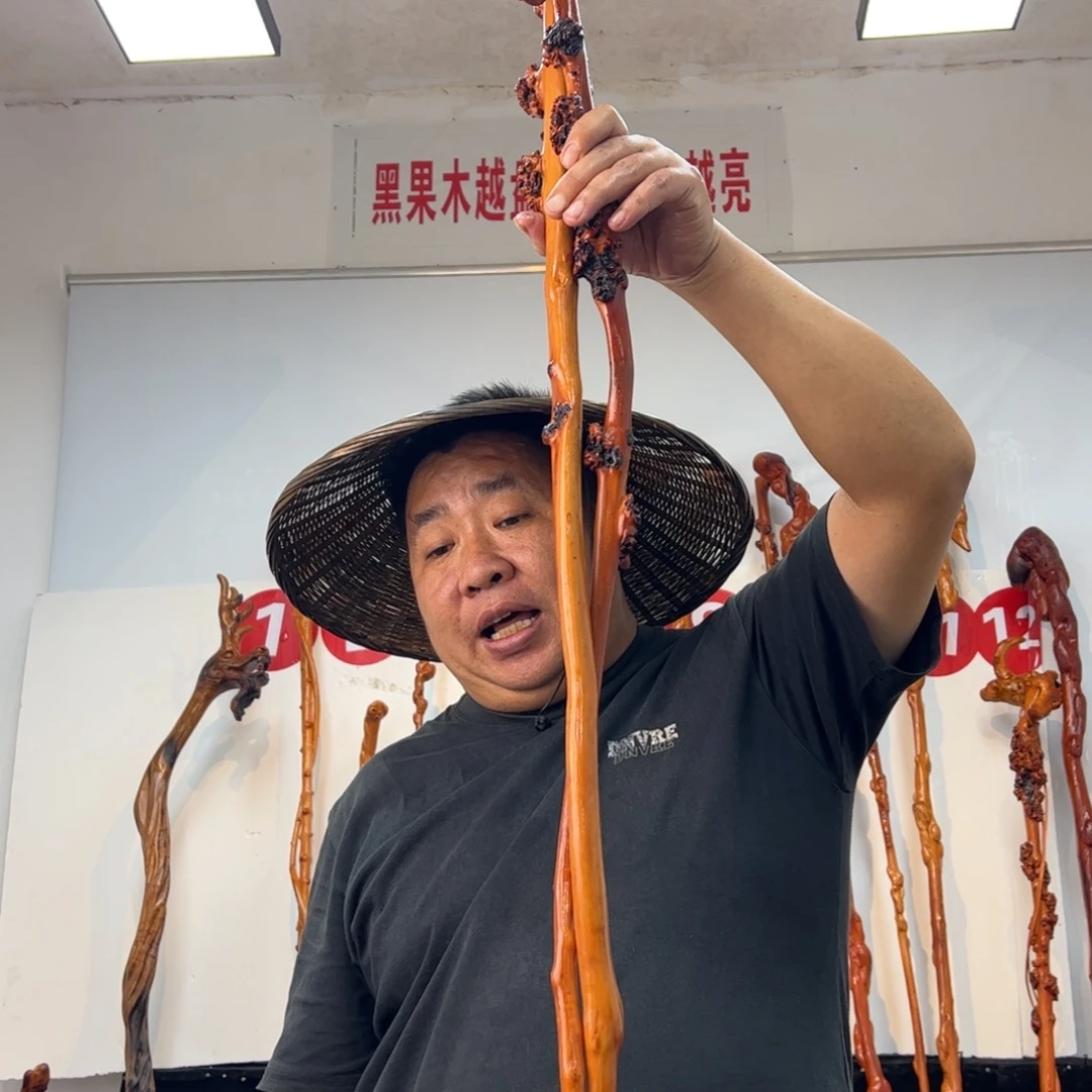 用***1其他黑果木黑果木111