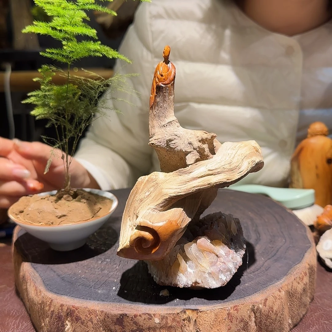 柏木（崖柏）太行集团
