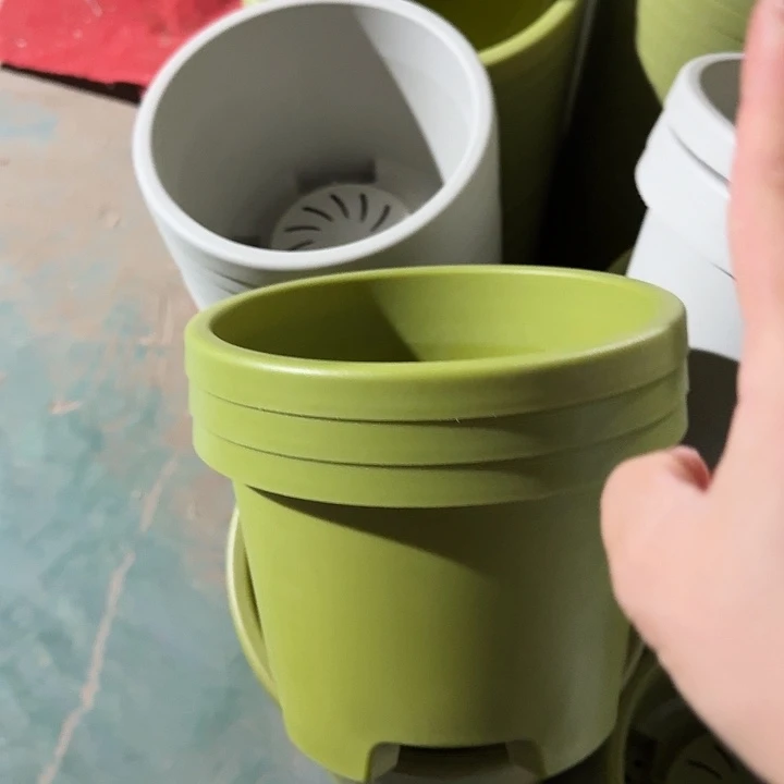 球根2号果绿无托5个