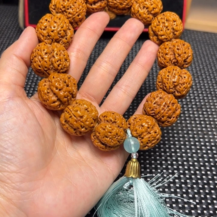 手串金刚菩提飞碟帝王花