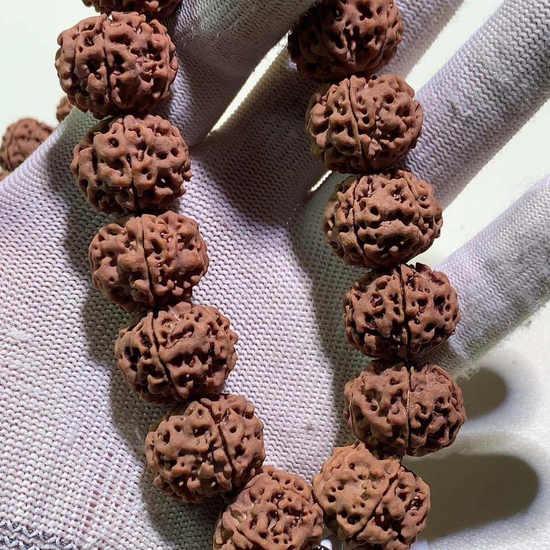吊坠金刚菩提【野王】22尺寸,偏红皮