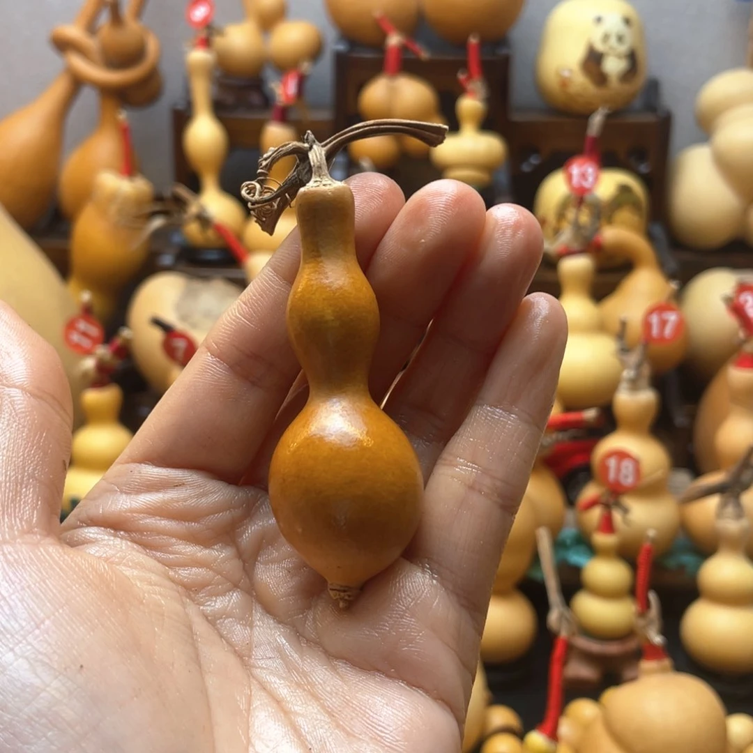 ?**?大自然的秘密第十一节你要做