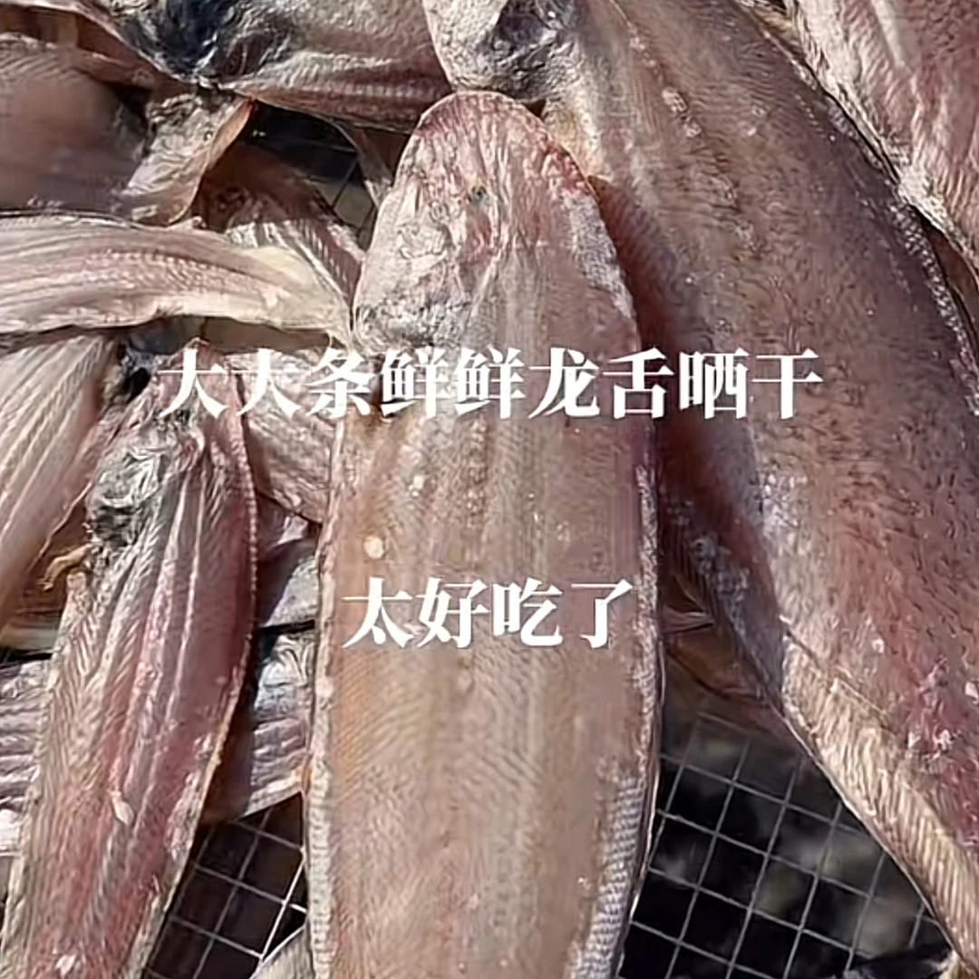 汕尾本港龙舌鱼干 自家晒