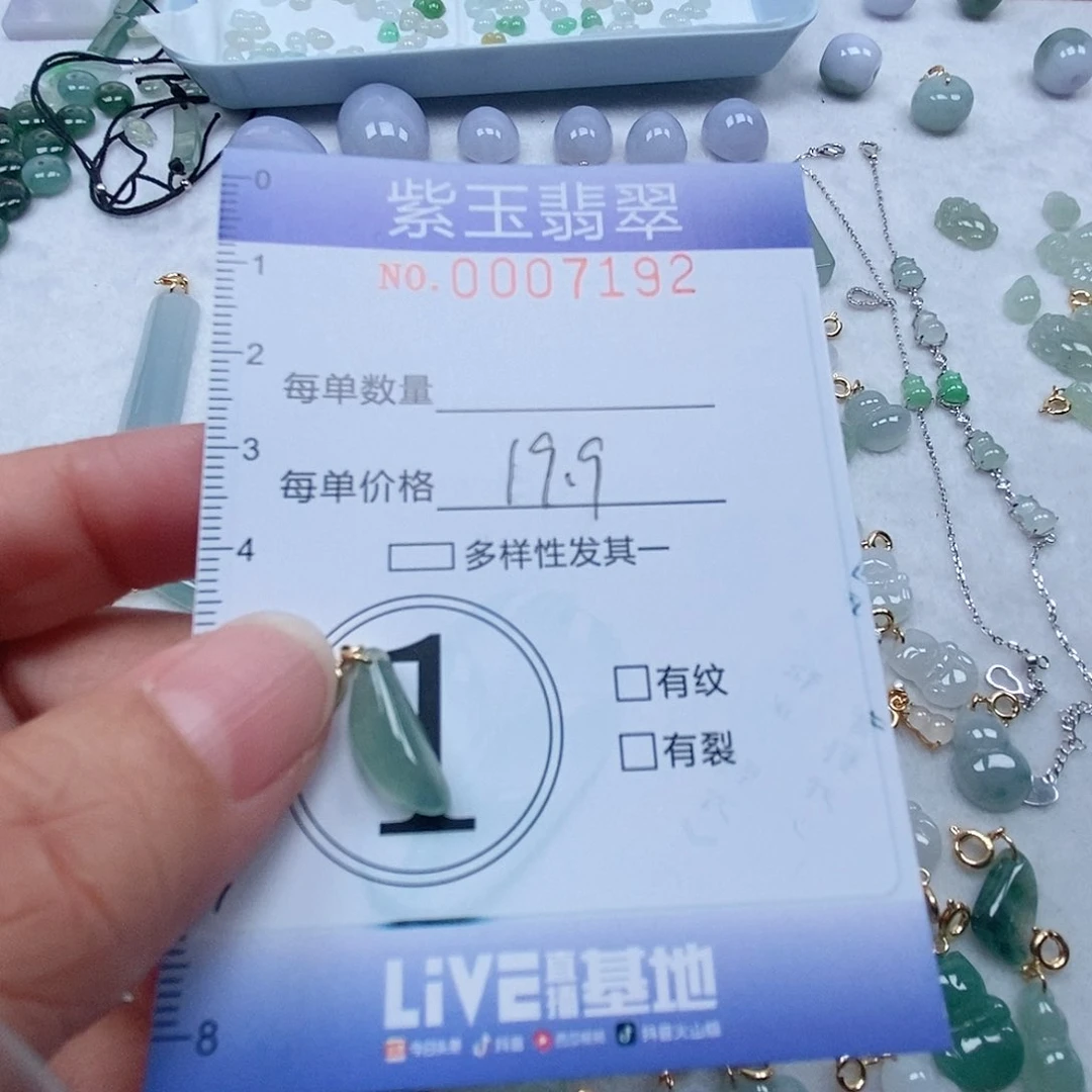 翡翠未镶嵌颈饰冰透随行