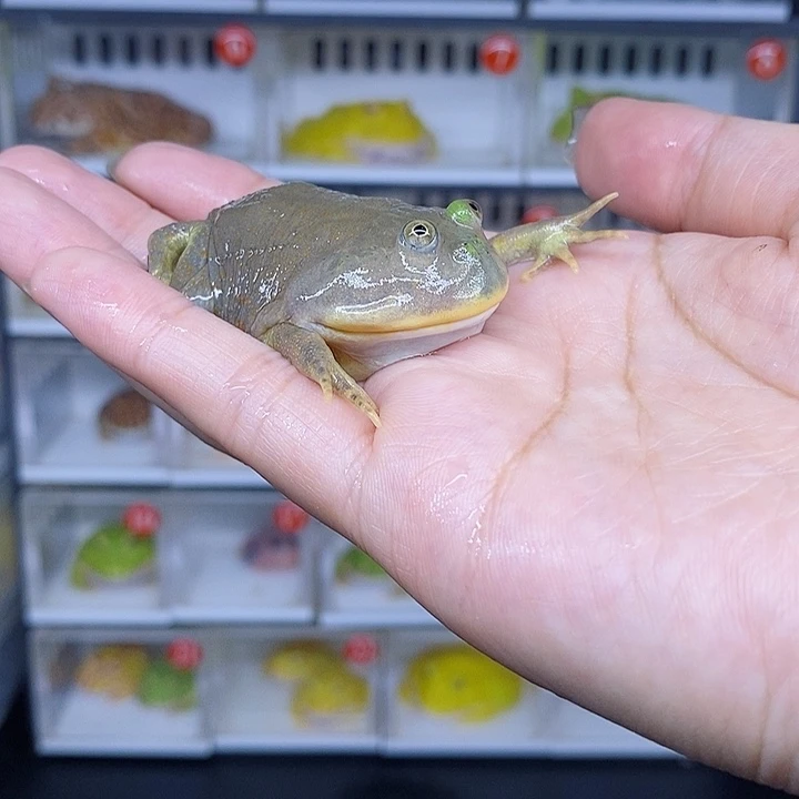 特价秒杀现货特价