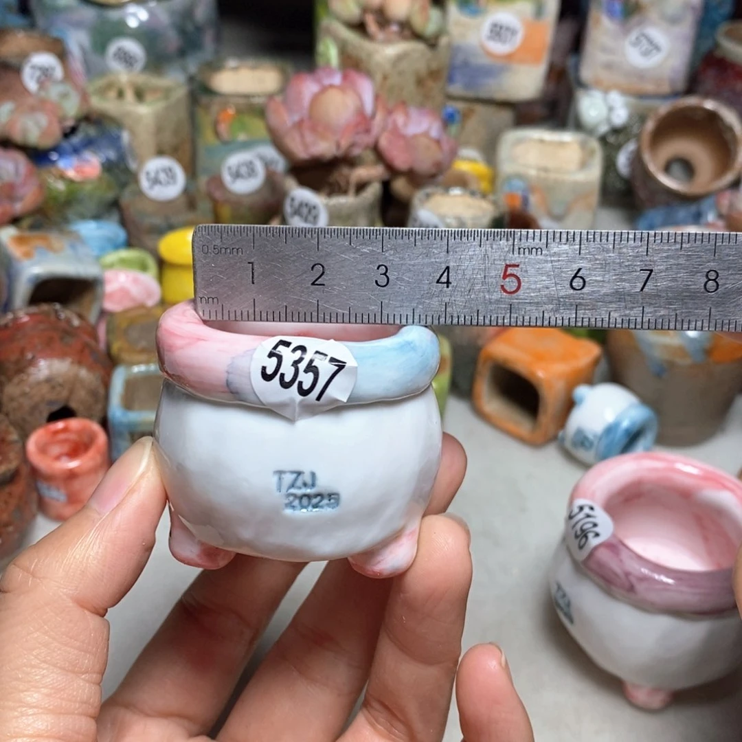 拍5送一个小礼物