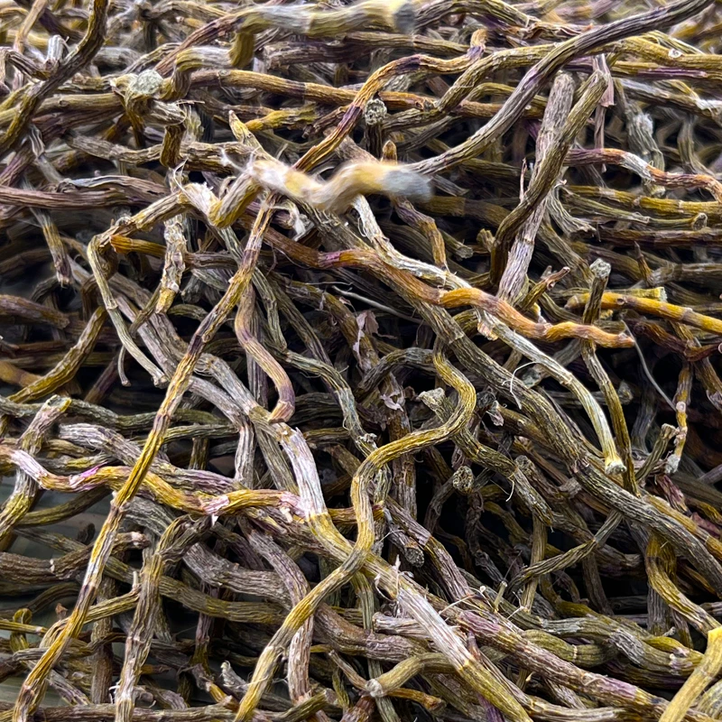 石斛干条原生态种植